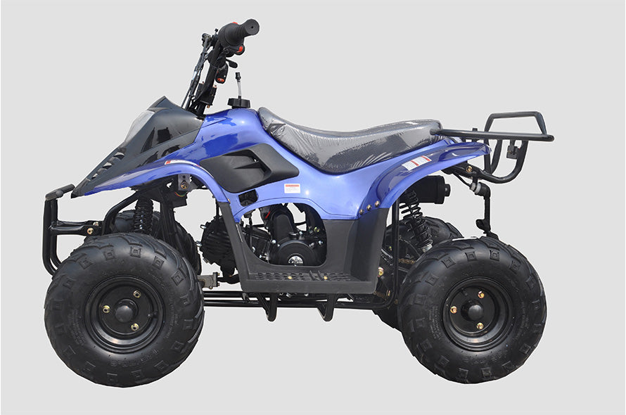 Banshee 110cc Mini Sport ATV 6” – Fully Automatic Kids Four-Wheeler