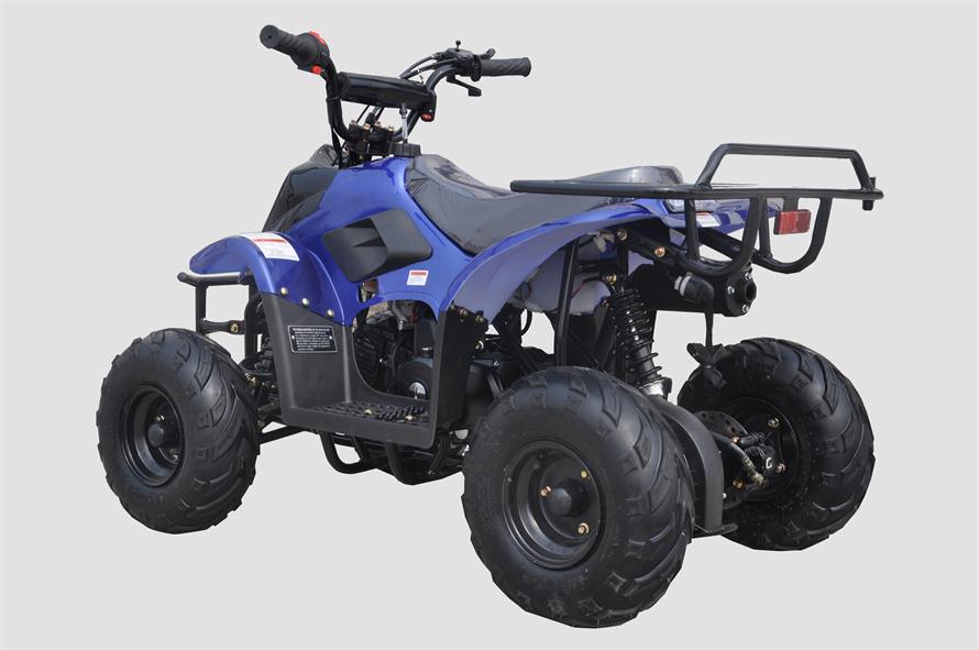 Banshee 110cc Mini Sport ATV 6” – Fully Automatic Kids Four-Wheeler