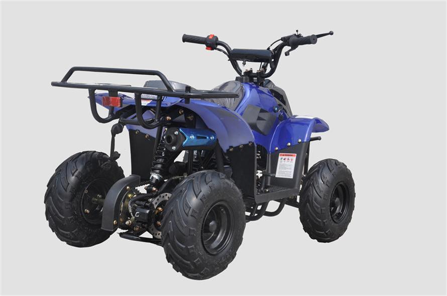 Banshee 110cc Mini Sport ATV 6” – Fully Automatic Kids Four-Wheeler