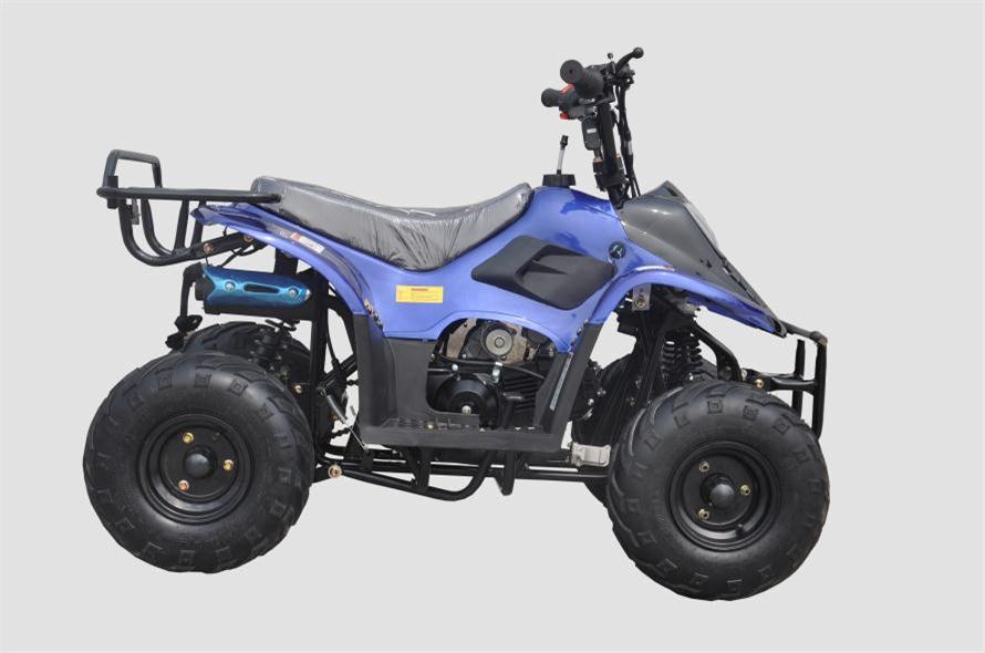 Banshee 110cc Mini Sport ATV 6” – Fully Automatic Kids Four-Wheeler