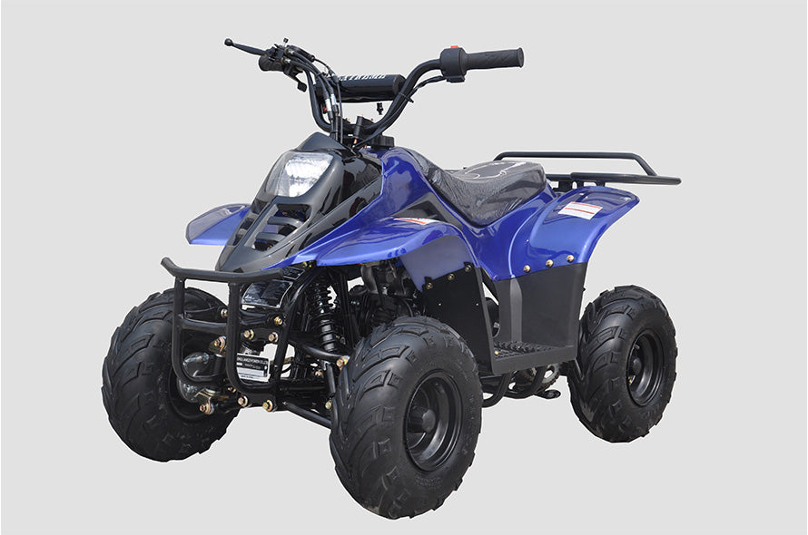 Banshee 110cc Mini Sport ATV 6” – Fully Automatic Kids Four-Wheeler