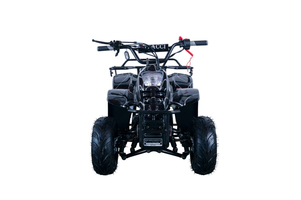 Hawk 110cc ATV – Kids' Off-Road Quad with Automatic Transmission