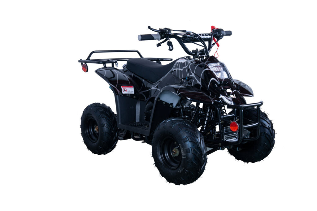 Hawk 110cc ATV – Kids' Off-Road Quad with Automatic Transmission