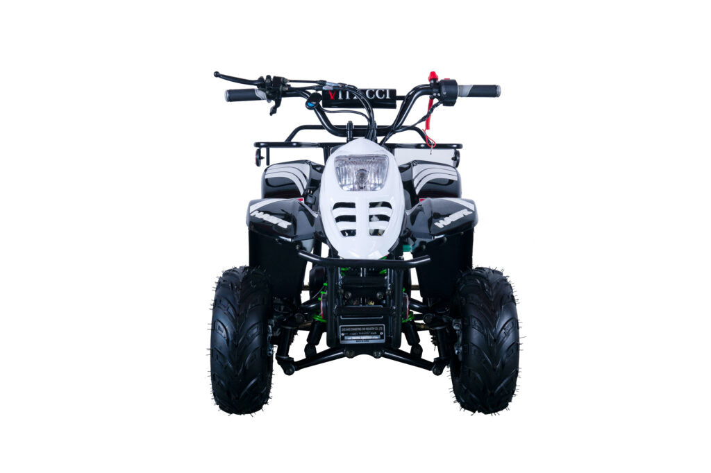 Hawk 110cc ATV – Kids' Off-Road Quad with Automatic Transmission