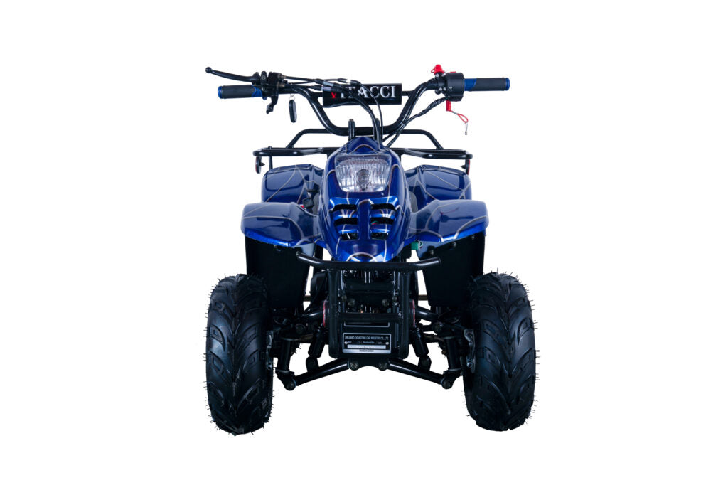 Hawk 110cc ATV – Kids' Off-Road Quad with Automatic Transmission