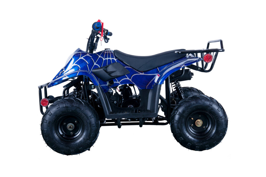 Hawk 110cc ATV – Kids' Off-Road Quad with Automatic Transmission