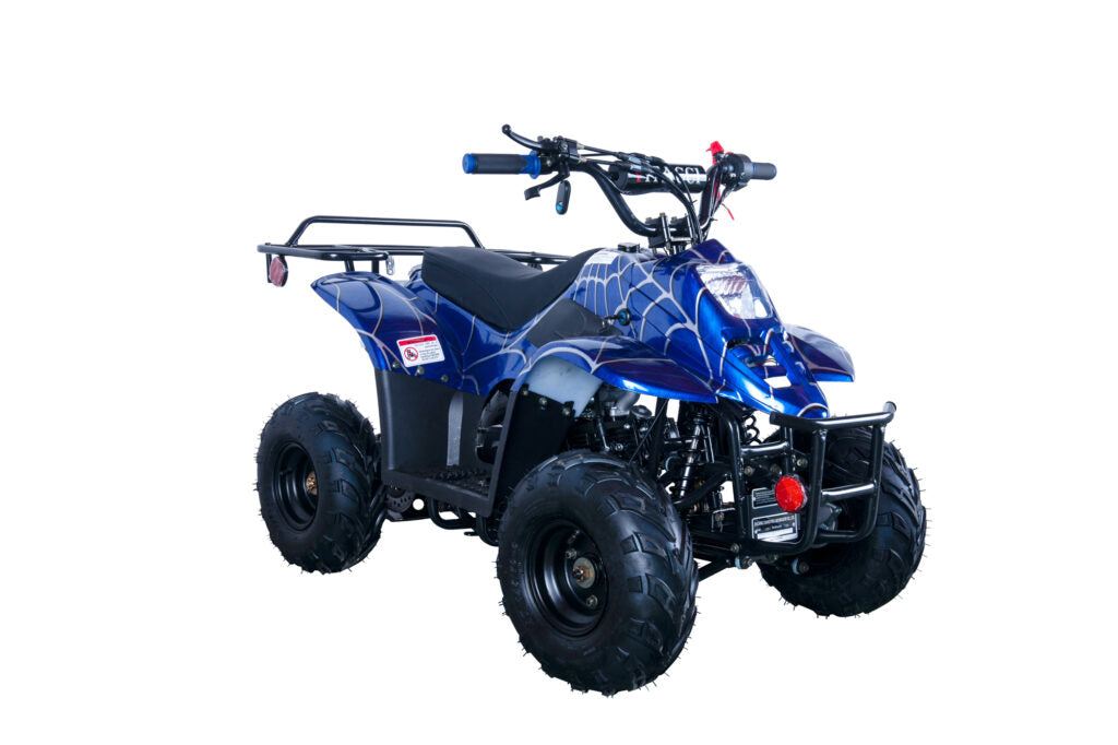 Hawk 110cc ATV – Kids' Off-Road Quad with Automatic Transmission