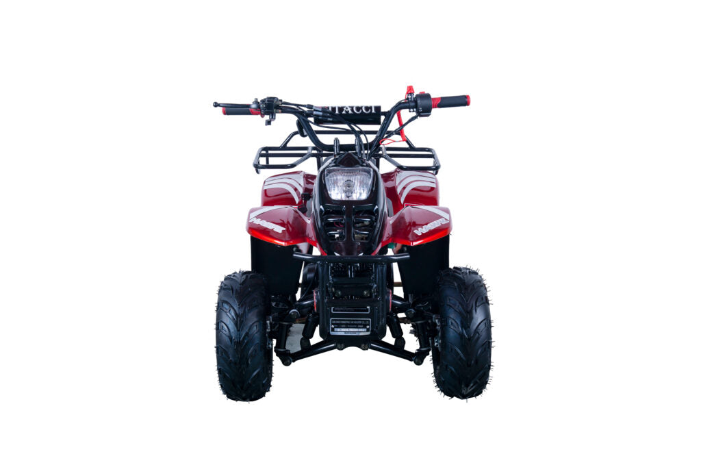 Hawk 110cc ATV – Kids' Off-Road Quad with Automatic Transmission