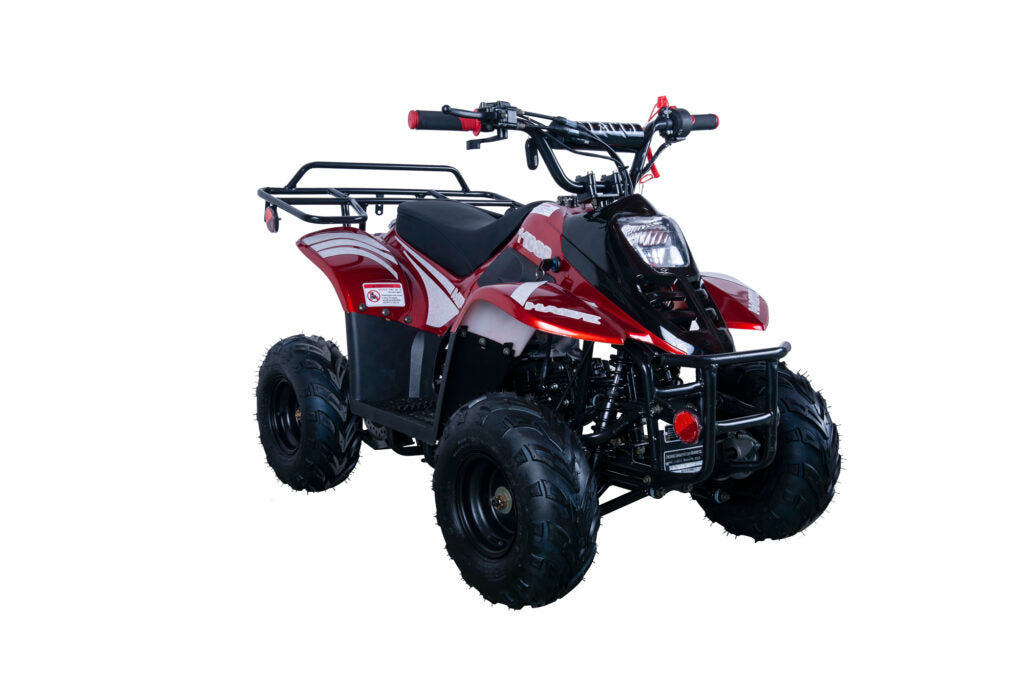 Hawk 110cc ATV – Kids' Off-Road Quad with Automatic Transmission