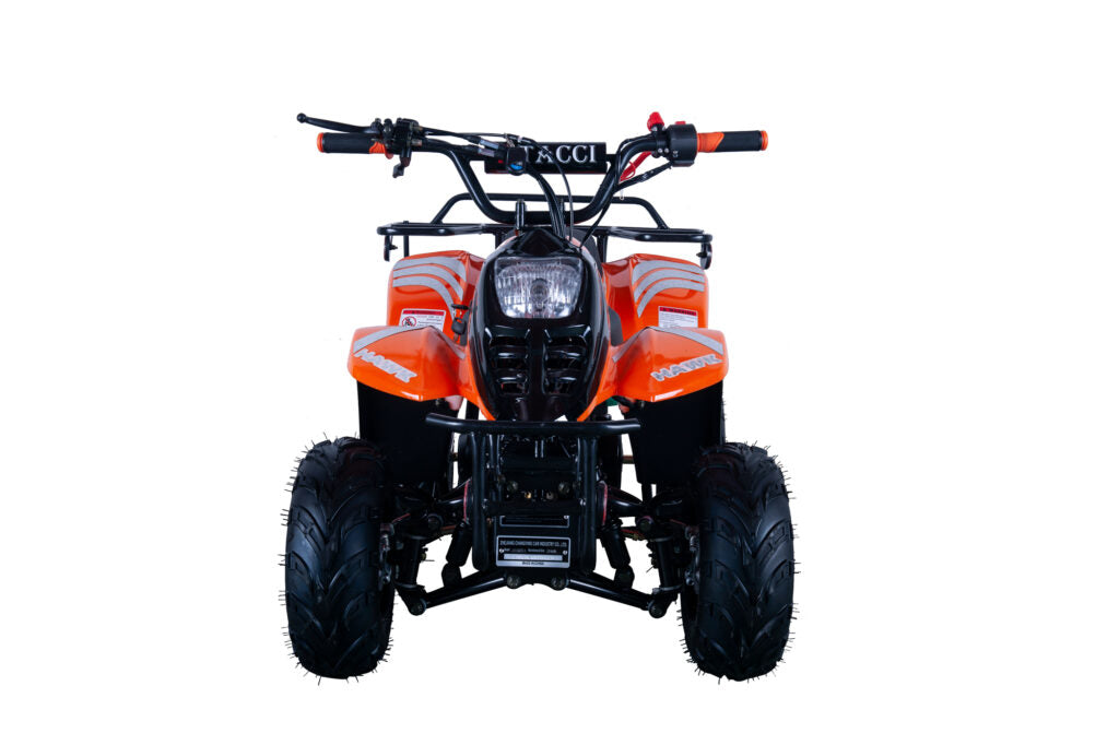 Hawk 110cc ATV – Kids' Off-Road Quad with Automatic Transmission