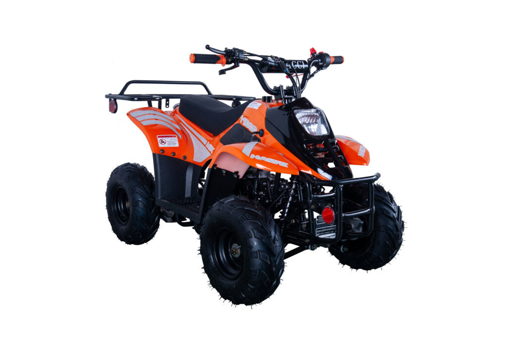 Hawk 110cc ATV – Kids' Off-Road Quad with Automatic Transmission