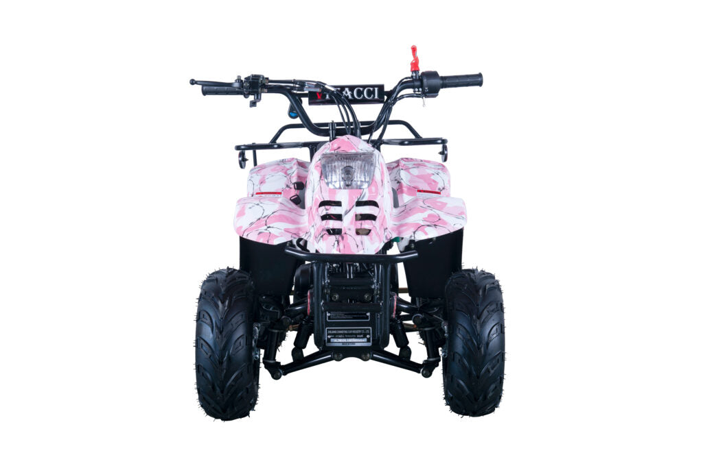 Hawk 110cc ATV – Kids' Off-Road Quad with Automatic Transmission