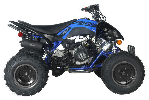 Pentora 200cc EFI ATV – High-Performance Fuel-Injected Off-Road Quad