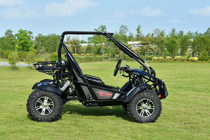 Venture 200cc EFI Go Kart – Fuel-Injected Off-Road Kart with Automatic Transmission