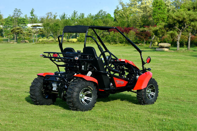 Venture 200cc EFI Go Kart – Fuel-Injected Off-Road Kart with Automatic Transmission