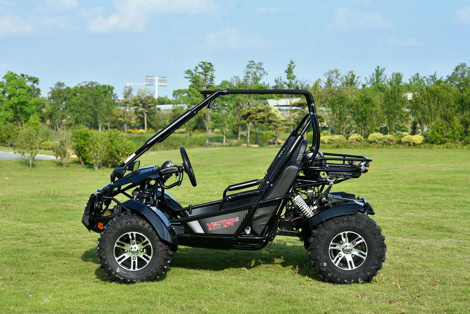 Venture 200cc EFI Go Kart – Fuel-Injected Off-Road Kart with Automatic Transmission